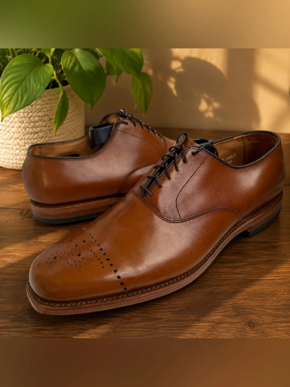 Allen Edmonds Dryden Men’s 11.5 D Brown Leather Oxford Dress Shoes
